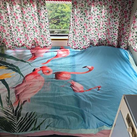 Balistyle Guesthouse Incl Hottub Near Amsterdam And Haarlem Velsen-Zuid Ngoại thất bức ảnh